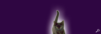 Katzenhaltung.org